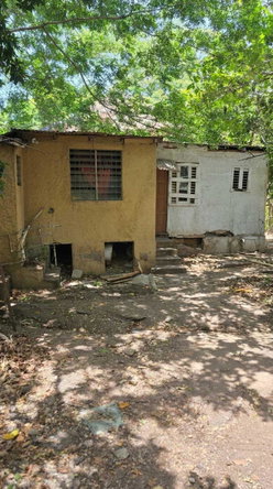 Eighth image of 46 Arnold Road in Kingston 4, Kingston, Jamaica - property is For Sale