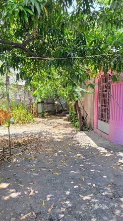 Ninth image of 46 Arnold Road in Kingston 4, Kingston, Jamaica - property is For Sale