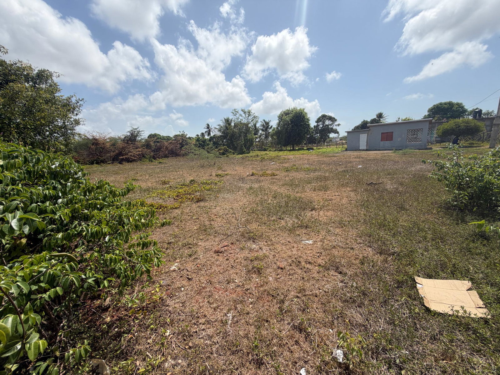 Twelfth image of Longwood Clarendon in Lionel Town, Clarendon, Jamaica - property is For Sale