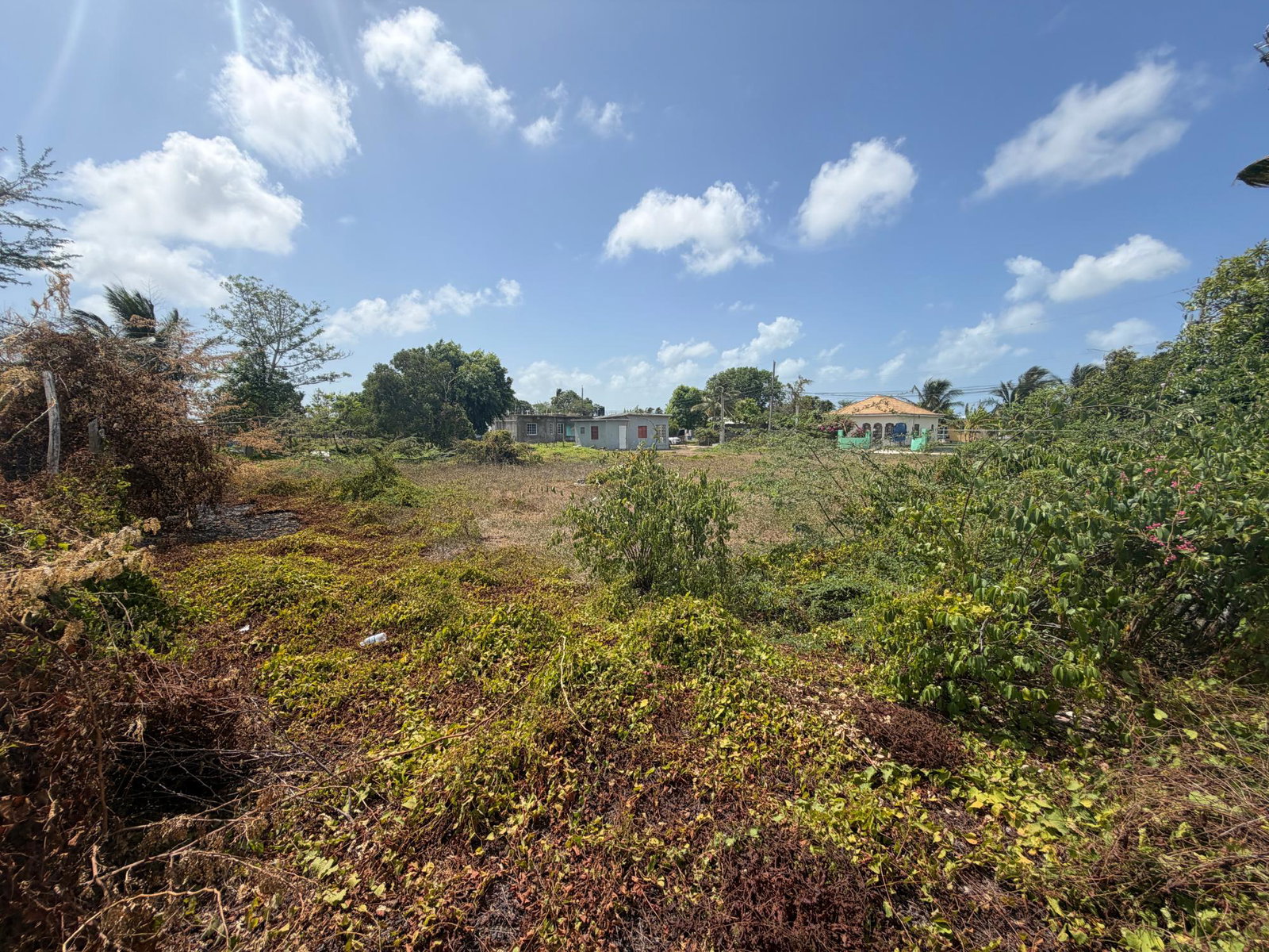 Thirteenth image of Longwood Clarendon in Lionel Town, Clarendon, Jamaica - property is For Sale