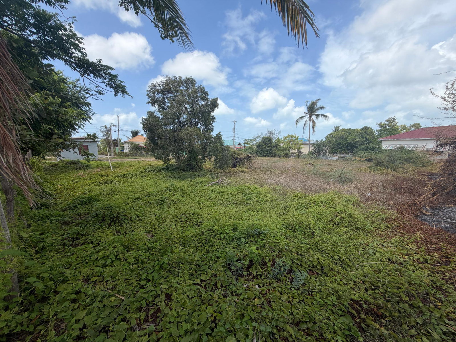 Fourteenth image of Longwood Clarendon in Lionel Town, Clarendon, Jamaica - property is For Sale