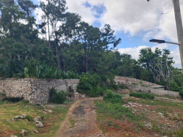 Tenth image of Lot 8 Littleton , Hillside , ma in Hillside, Manchester, Jamaica - property is For Sale