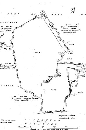 Fourteenth image of Lot 8 Littleton , Hillside , ma in Hillside, Manchester, Jamaica - property is For Sale