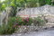 First image of 14- Newcastle Road, St. Andre in Irish Town P.A., St. Andrew, Jamaica - property is For Rent
