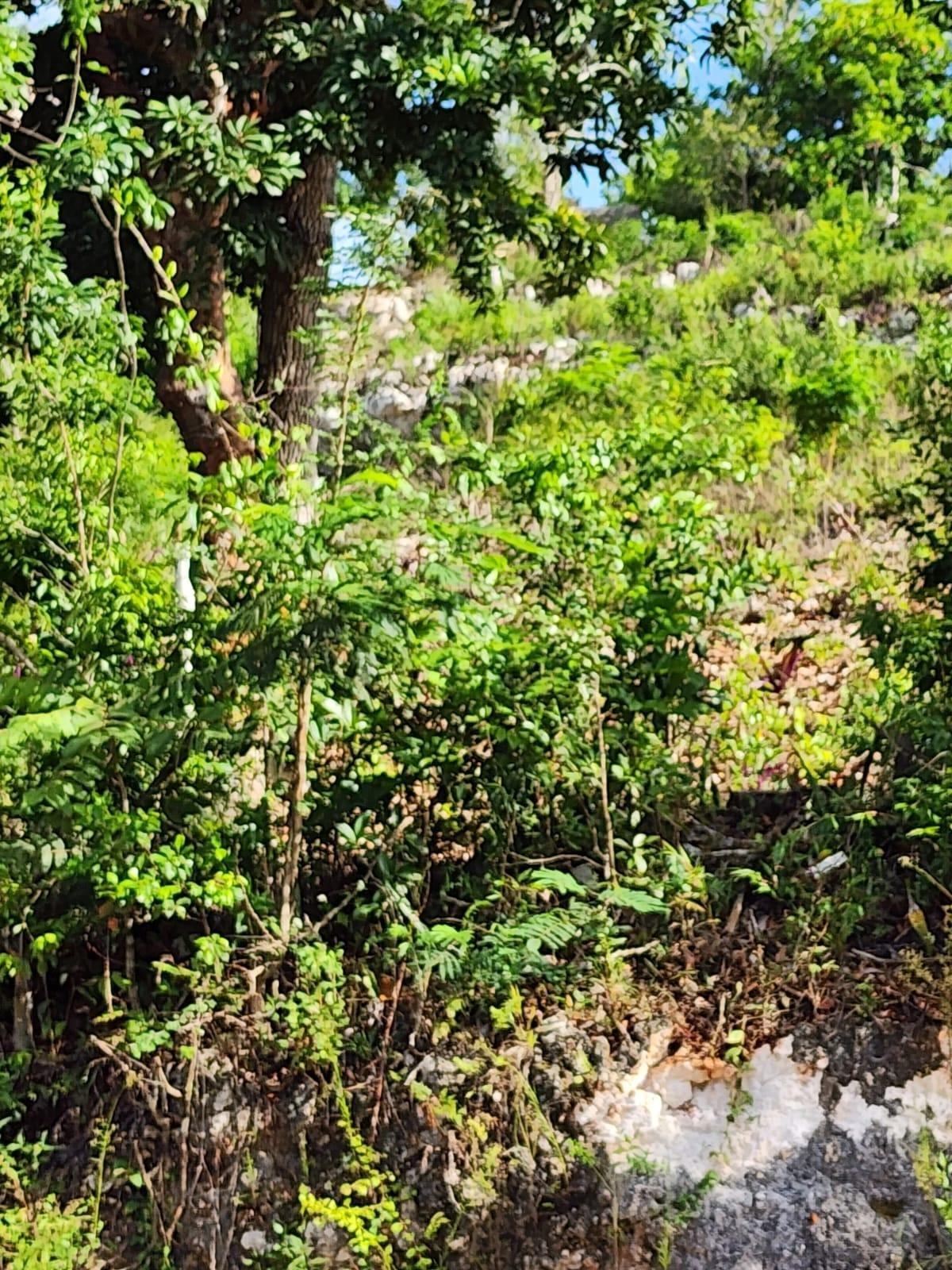First image of 6 Pusey Hill, Manchester in Pratville, Manchester, Jamaica - property is For Sale