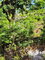 First image of 6 Pusey Hill, Manchester in Pratville, Manchester, Jamaica - property is For Sale