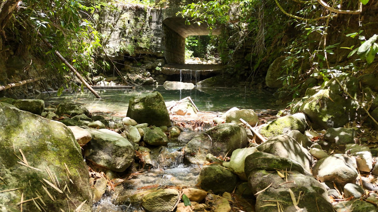 First image of Tremolesworth in Tremolesworth, St. Mary, Jamaica - property is For Sale