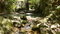 First image of Tremolesworth in Tremolesworth, St. Mary, Jamaica - property is For Sale