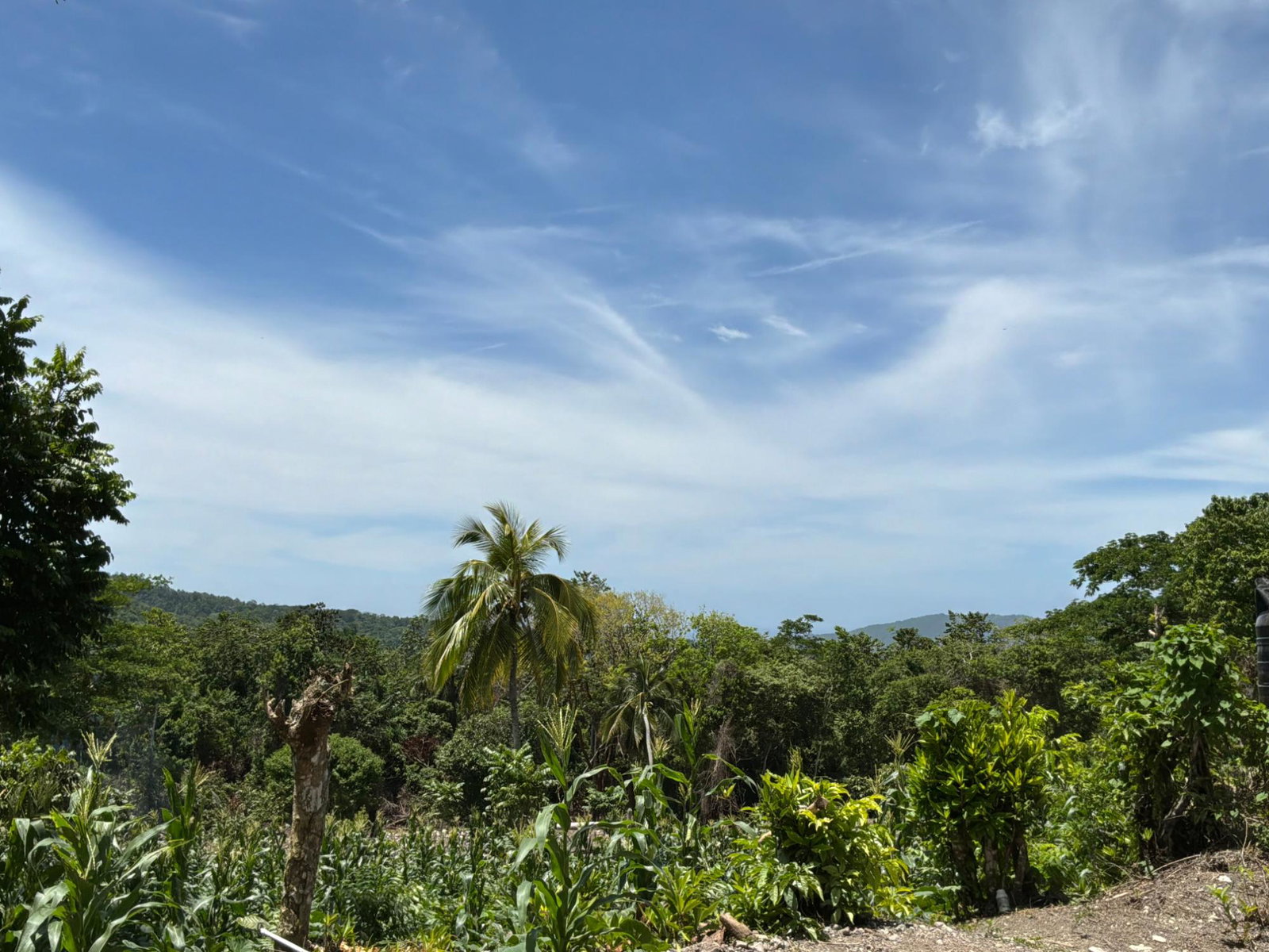 Tenth image of Tremolesworth in Tremolesworth, St. Mary, Jamaica - property is For Sale