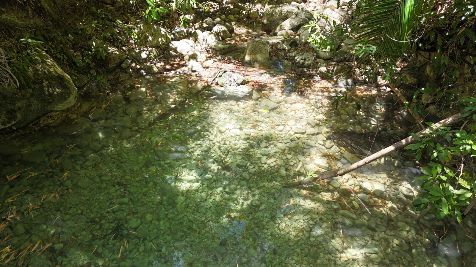 Second image of Tremolesworth in Tremolesworth, St. Mary, Jamaica - property is For Sale