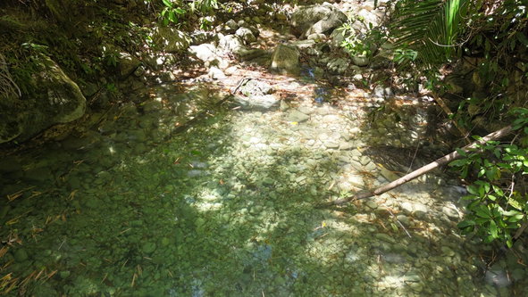 Second image of Tremolesworth in Tremolesworth, St. Mary, Jamaica - property is For Sale