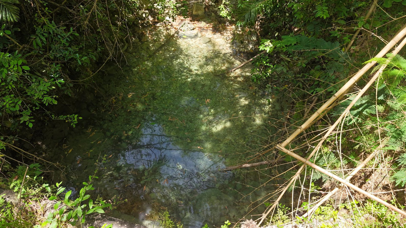 Third image of Tremolesworth in Tremolesworth, St. Mary, Jamaica - property is For Sale