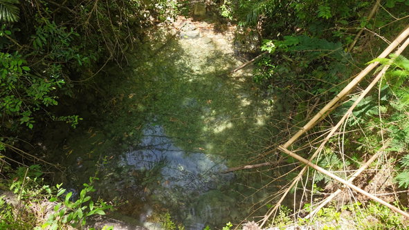 Third image of Tremolesworth in Tremolesworth, St. Mary, Jamaica - property is For Sale