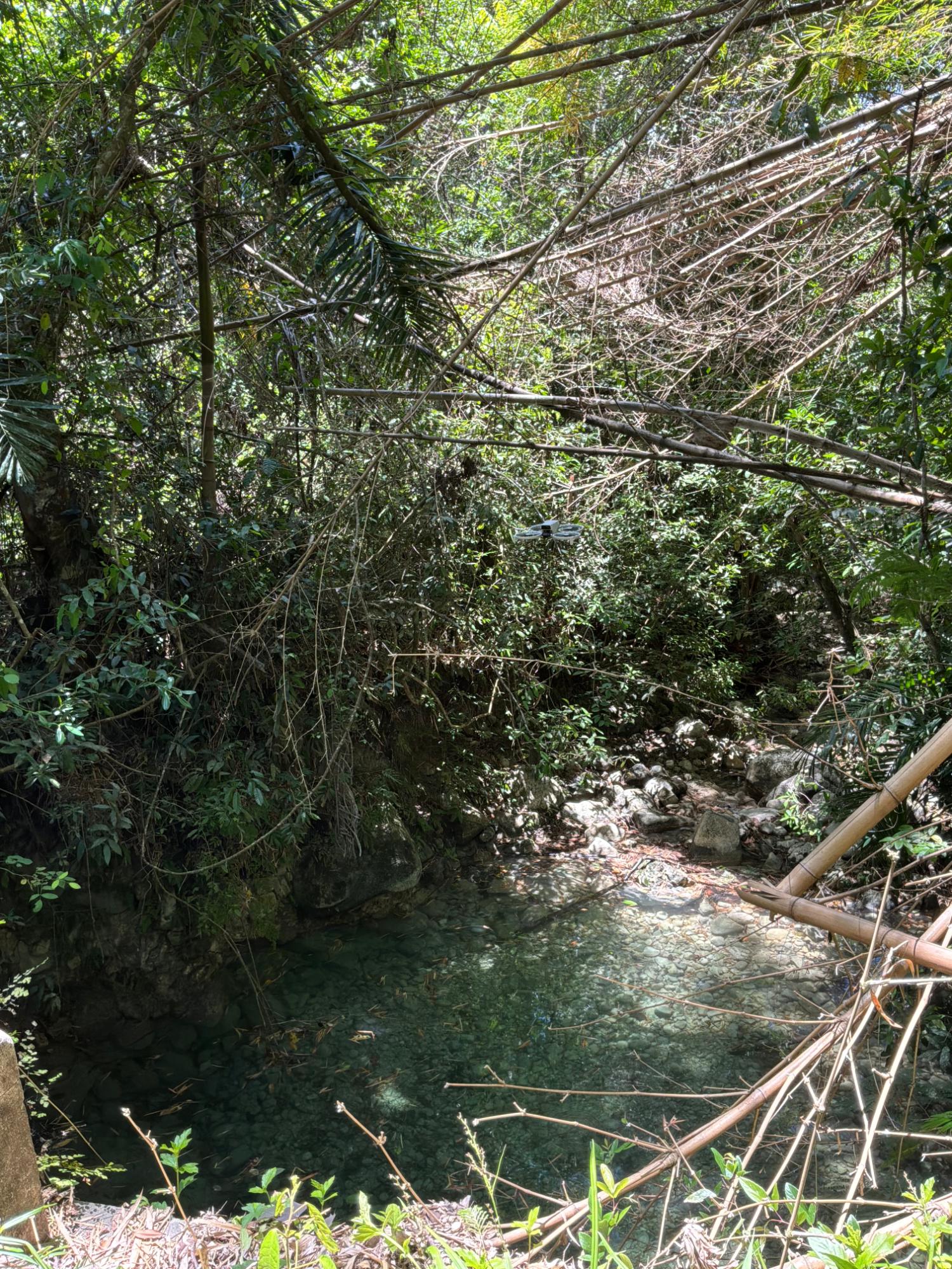 Fourth image of Tremolesworth in Tremolesworth, St. Mary, Jamaica - property is For Sale