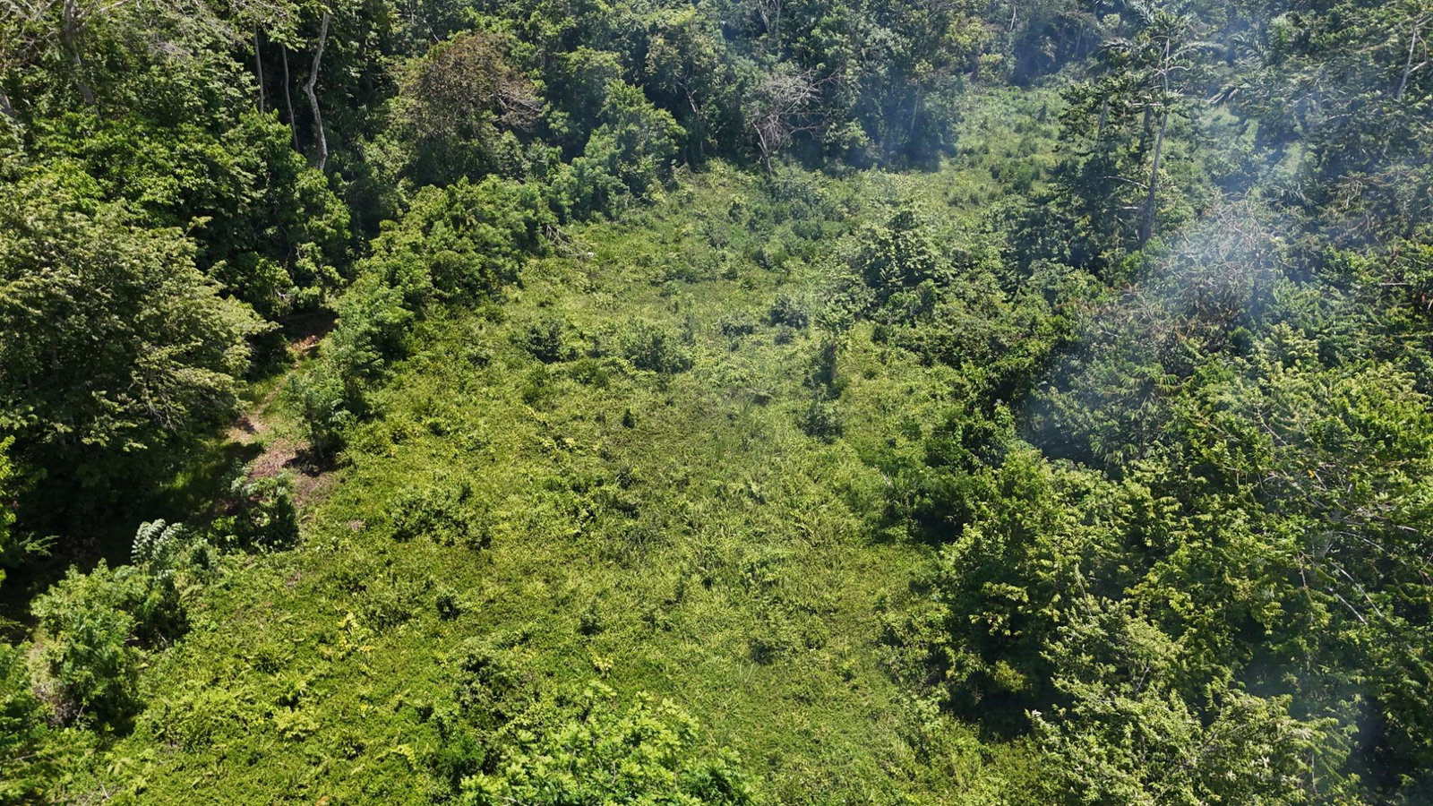 Fifth image of Tremolesworth in Tremolesworth, St. Mary, Jamaica - property is For Sale