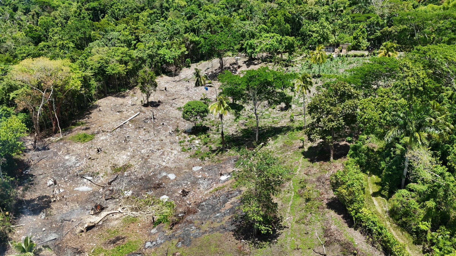 Sixth image of Tremolesworth in Tremolesworth, St. Mary, Jamaica - property is For Sale