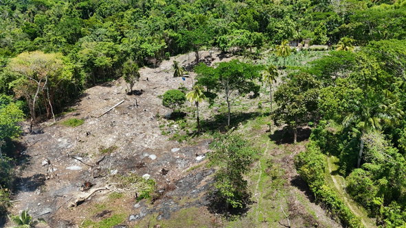 Sixth image of Tremolesworth in Tremolesworth, St. Mary, Jamaica - property is For Sale