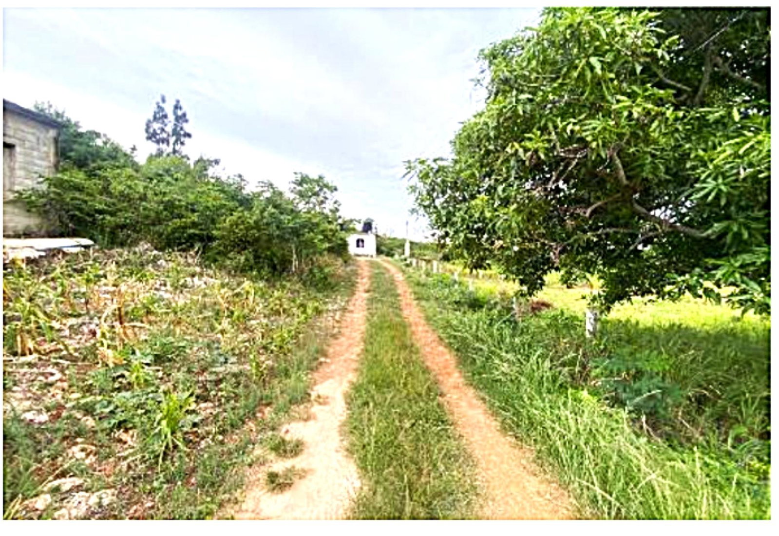 Sixth image of Cheapside, Junction in Cheapside, St. Elizabeth, Jamaica - property is For Sale