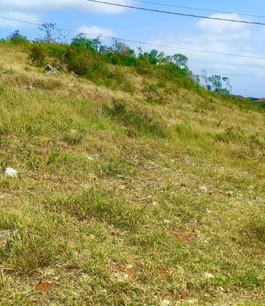 Second image of 187 Part of Blenheim in Newport, Manchester, Jamaica - property is For Sale