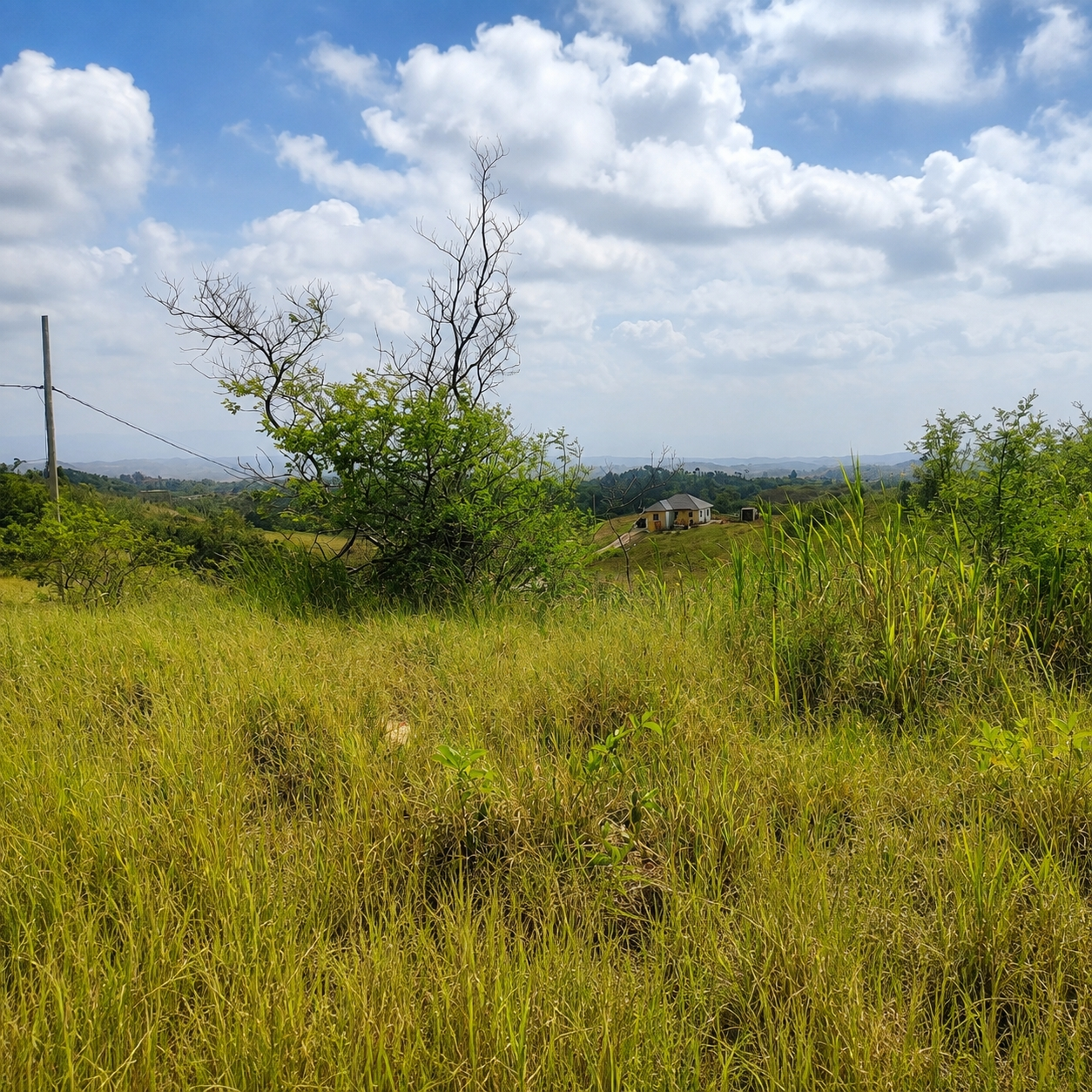 Third image of 187 Part of Blenheim in Newport, Manchester, Jamaica - property is For Sale