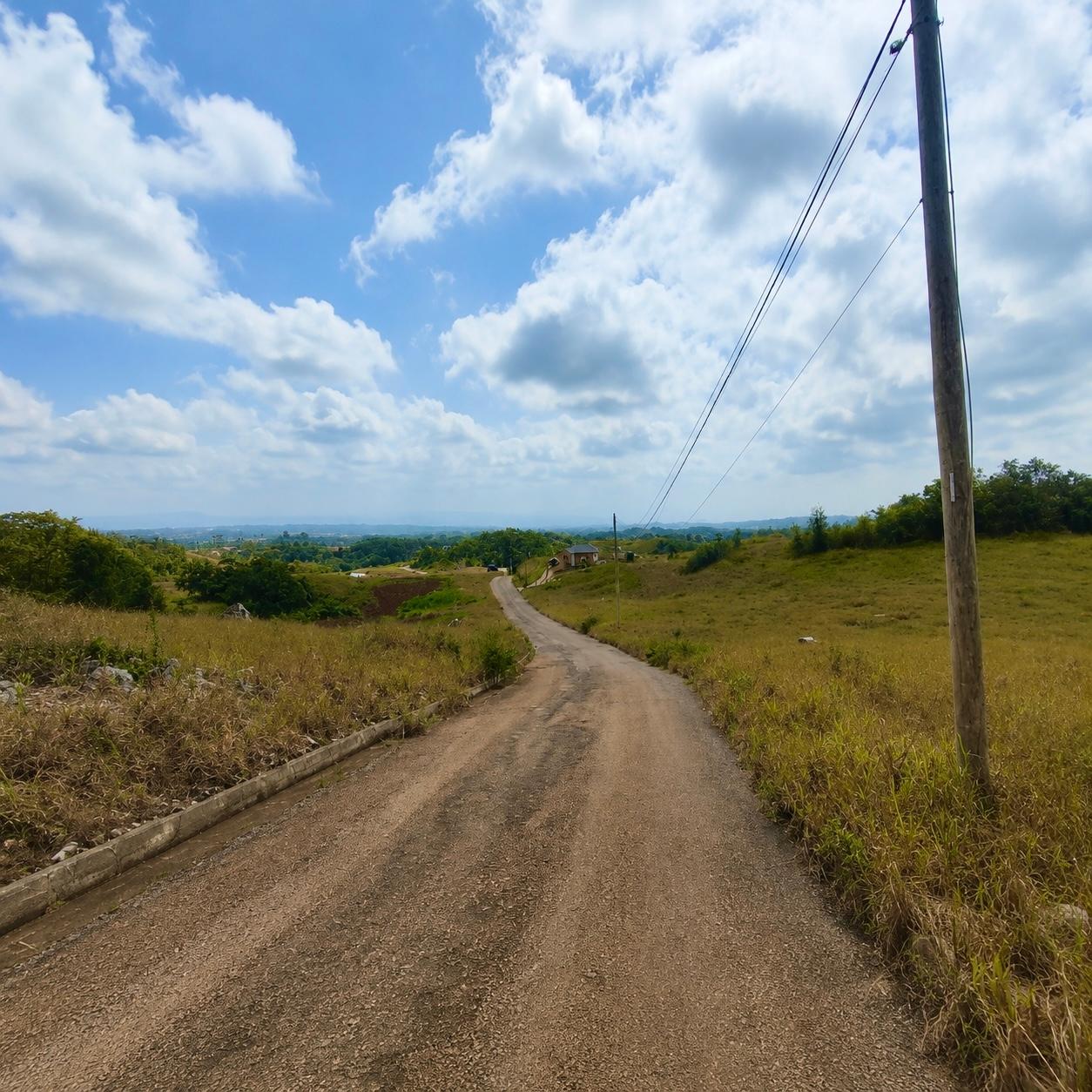 Fourth image of 187 Part of Blenheim in Newport, Manchester, Jamaica - property is For Sale