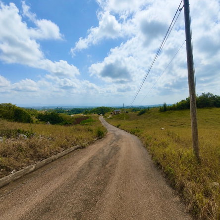 Fourth image of 187 Part of Blenheim in Newport, Manchester, Jamaica - property is For Sale