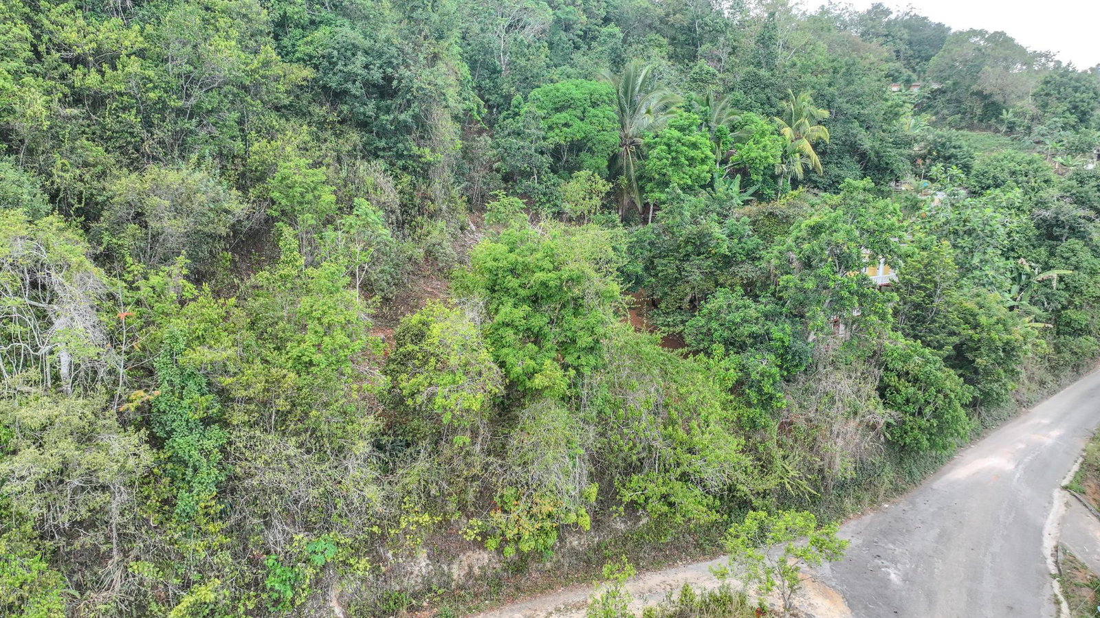 Fifteenth image of Rock Hall in Red Hills, St. Andrew, Jamaica - property is For Sale