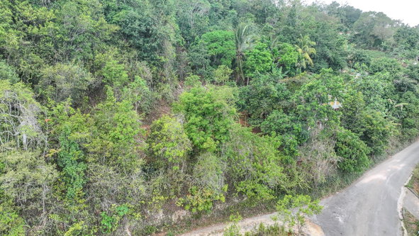 Fifteenth image of Rock Hall in Red Hills, St. Andrew, Jamaica - property is For Sale