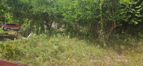 First image of 472 Whitehall in Negril, Westmoreland, Jamaica - property is For Sale