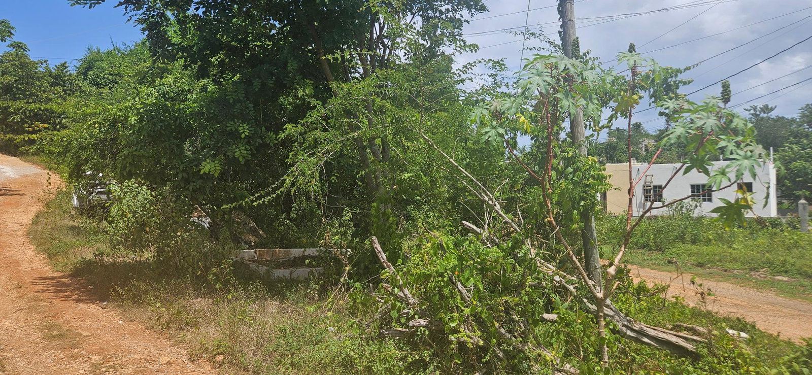 Third image of 472 Whitehall in Negril, Westmoreland, Jamaica - property is For Sale