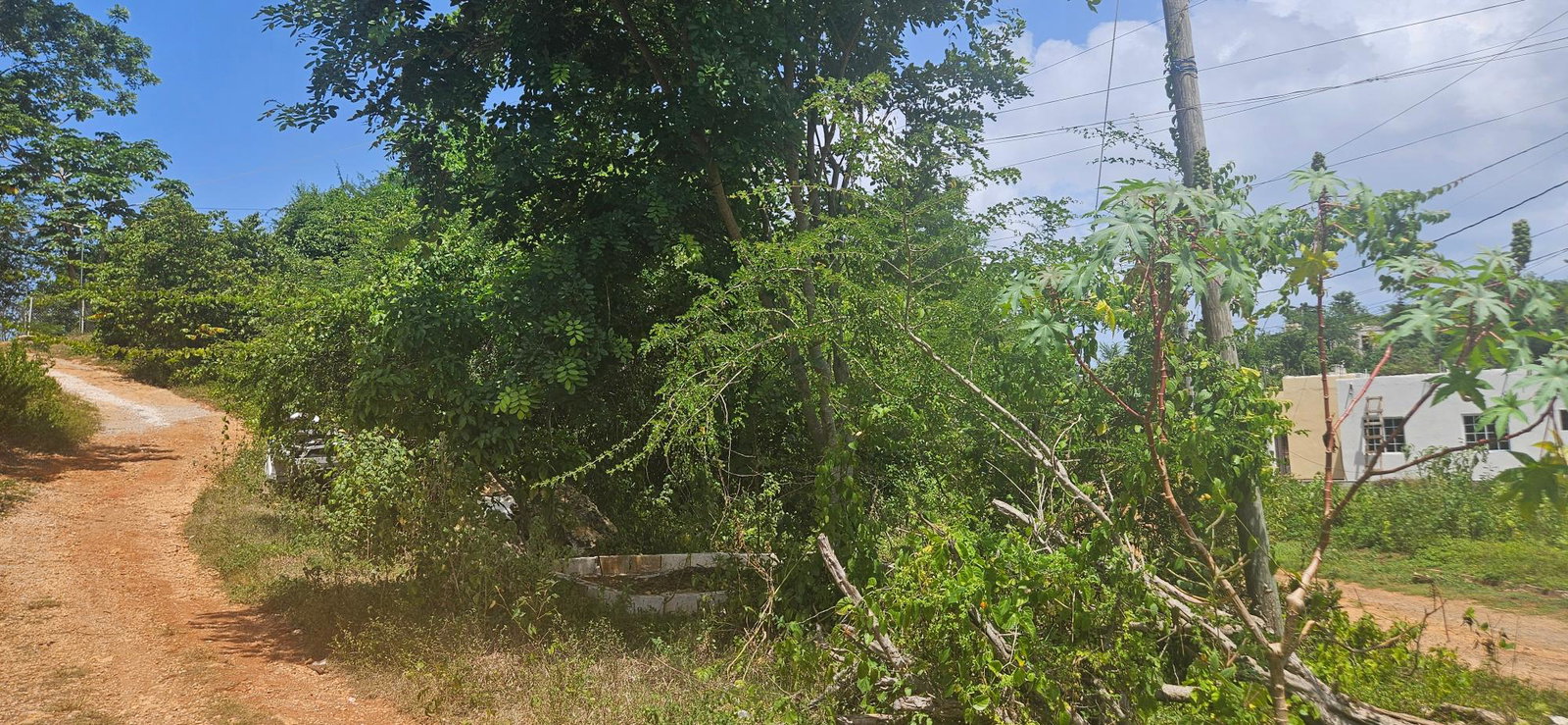 Fourth image of 472 Whitehall in Negril, Westmoreland, Jamaica - property is For Sale