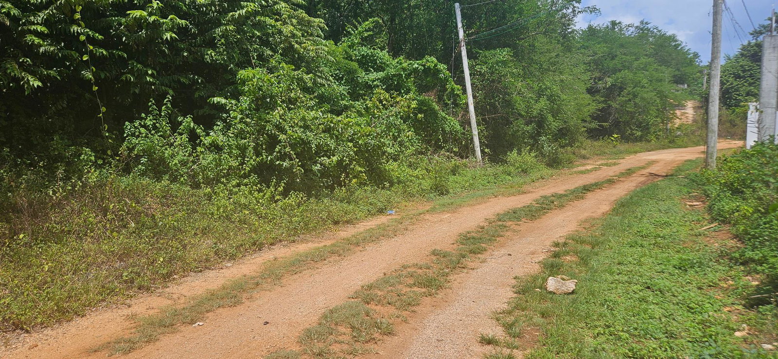 Sixth image of 472 Whitehall in Negril, Westmoreland, Jamaica - property is For Sale