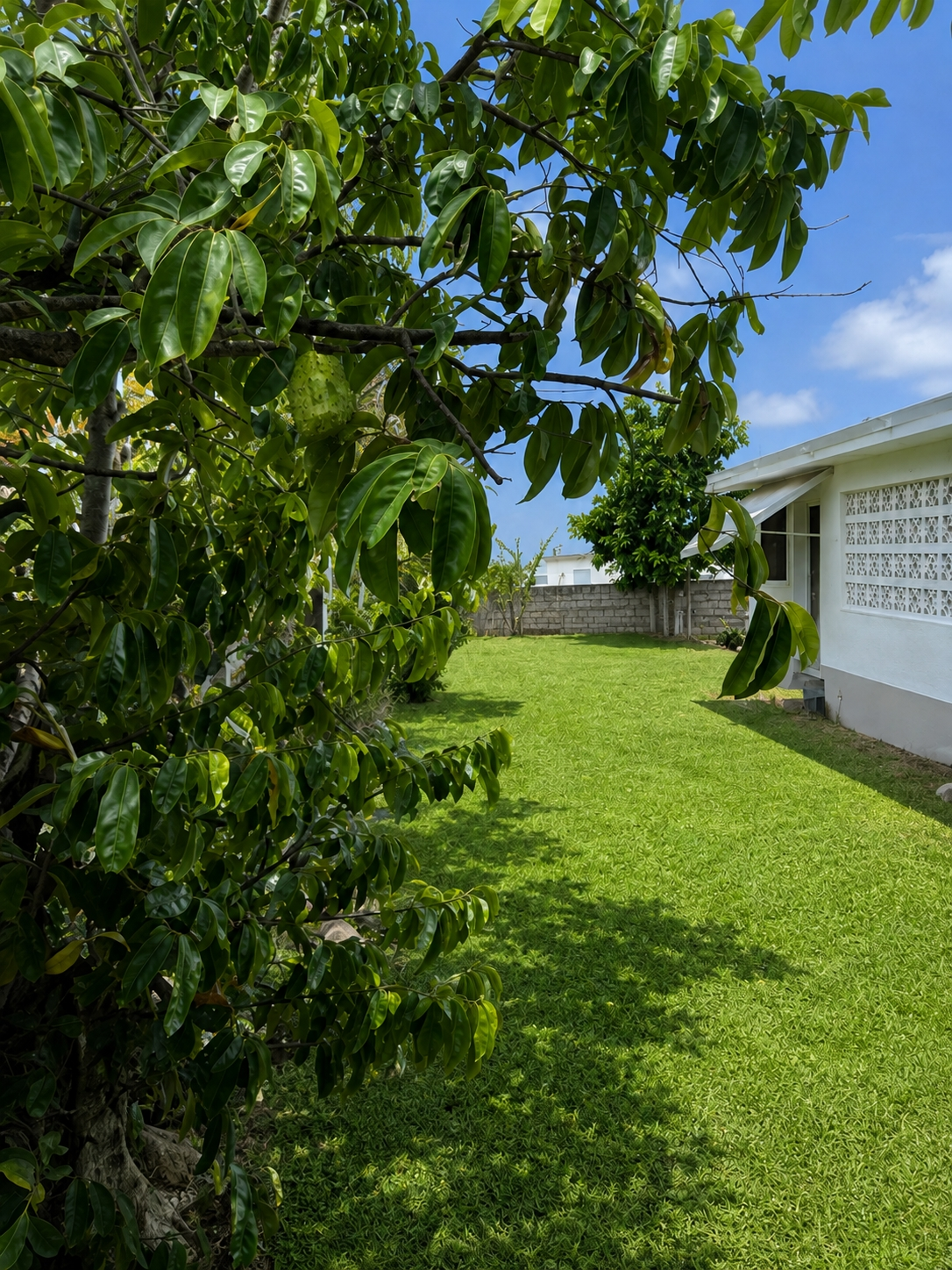 Twenty-Ninth image of Lot 126 Springfield Blvd. Retreat in Falmouth, Trelawny, Jamaica - property is For Sale