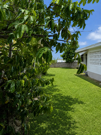 Twenty-Ninth image of Lot 126 Springfield Blvd. Retreat in Falmouth, Trelawny, Jamaica - property is For Sale