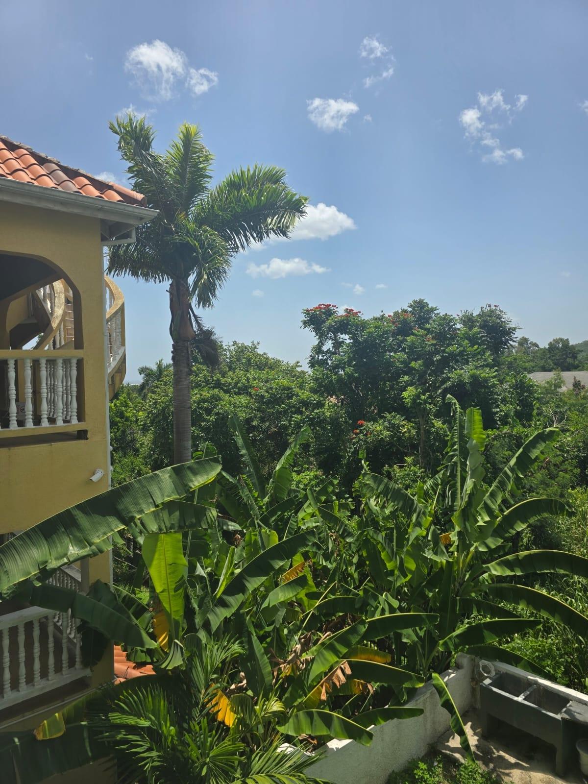 First image of 62a Columbus Drive in Mammee Bay, St. Ann, Jamaica - property is For Rent