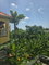 First image of 62a Columbus Drive in Mammee Bay, St. Ann, Jamaica - property is For Rent