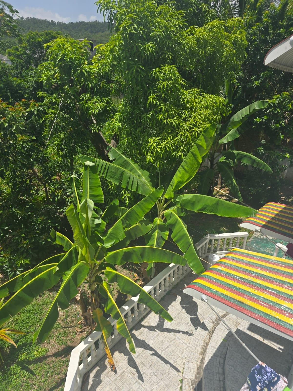 Second image of 62a Columbus Drive in Mammee Bay, St. Ann, Jamaica - property is For Rent