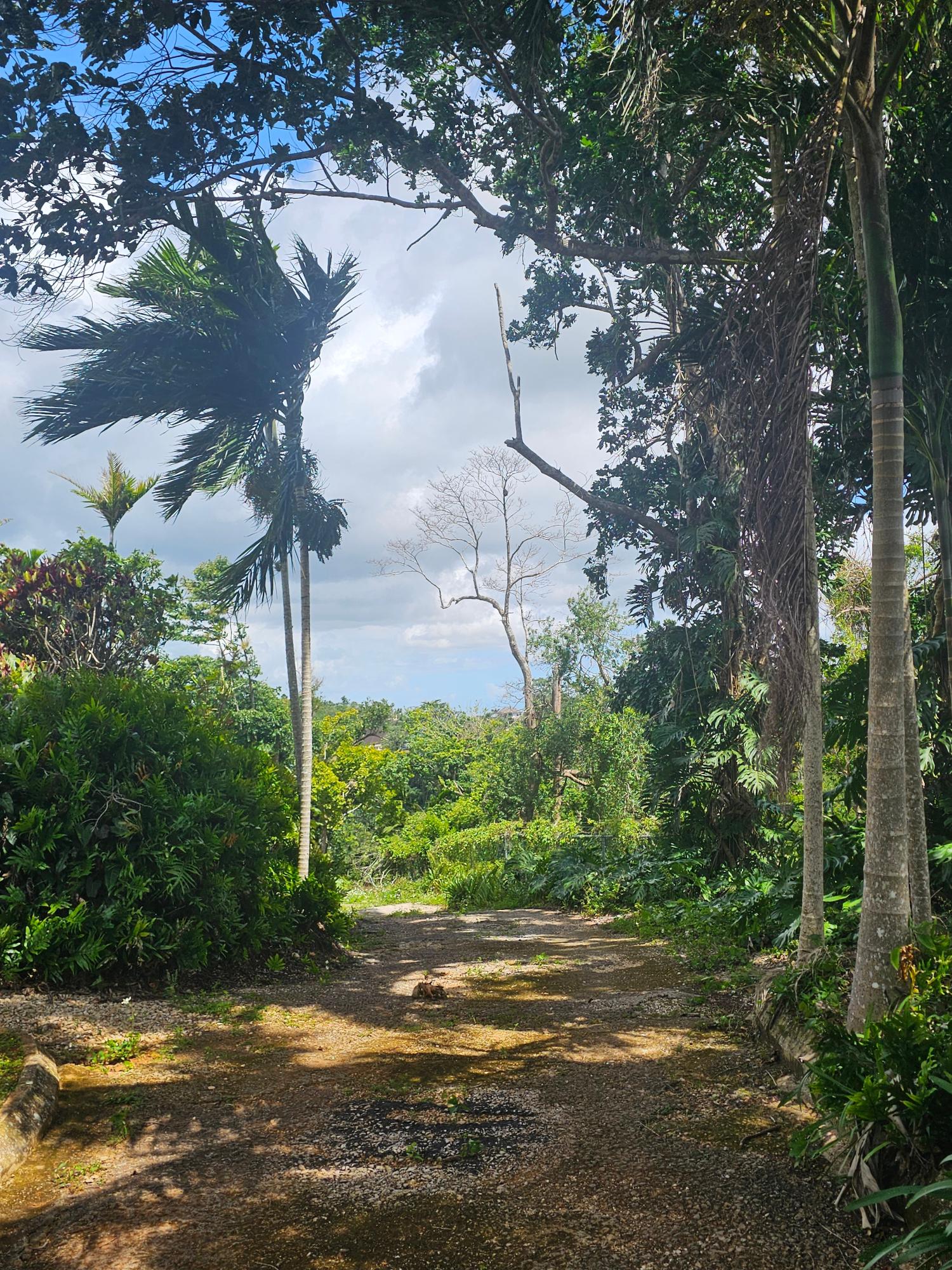Second image of 3 Woodlawn in Mandeville, Manchester, Jamaica - property is For Sale