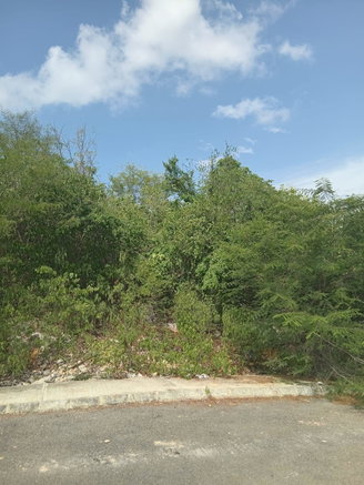 First image of Lot 81 Sheckles Pen, Four in Four Paths, Clarendon, Jamaica - property is For Sale