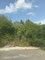 First image of Lot 81 Sheckles Pen, Four in Four Paths, Clarendon, Jamaica - property is For Sale
