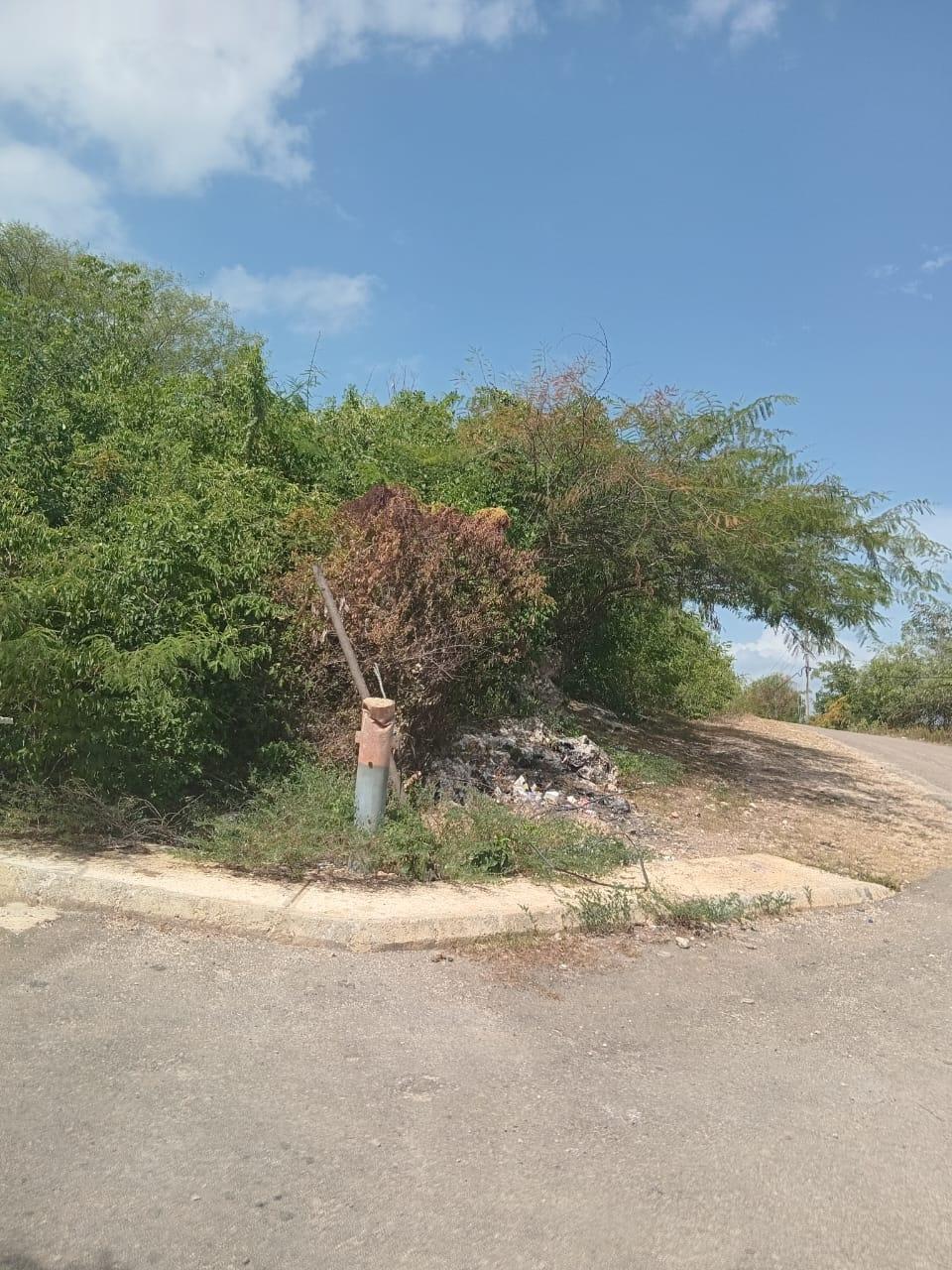 Fourth image of Lot 81 Sheckles Pen, Four in Four Paths, Clarendon, Jamaica - property is For Sale