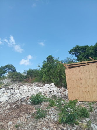 Sixth image of Lot 81 Sheckles Pen, Four in Four Paths, Clarendon, Jamaica - property is For Sale