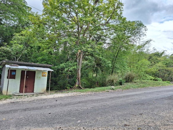 First image of 275 Suttons Estate in CHAPELTON, Clarendon, Jamaica - property is For Sale