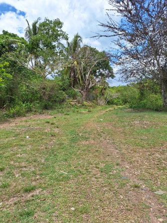 Third image of 275 Suttons Estate in CHAPELTON, Clarendon, Jamaica - property is For Sale