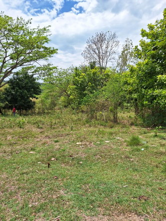 Fourth image of 275 Suttons Estate in CHAPELTON, Clarendon, Jamaica - property is For Sale