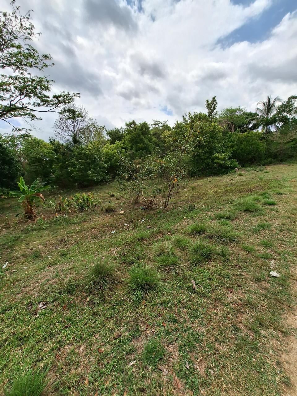 Eighth image of 275 Suttons Estate in CHAPELTON, Clarendon, Jamaica - property is For Sale