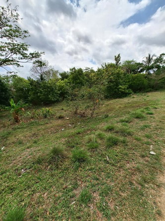 Eighth image of 275 Suttons Estate in CHAPELTON, Clarendon, Jamaica - property is For Sale