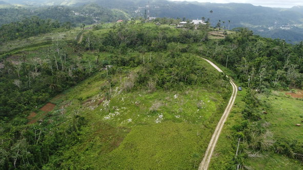 Second image of Lot9- Golden Spring Estates, st in Golden Spring, St. Ann, Jamaica - property is For Sale