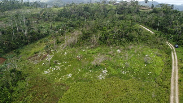 Fifth image of Lot9- Golden Spring Estates, st in Golden Spring, St. Ann, Jamaica - property is For Sale