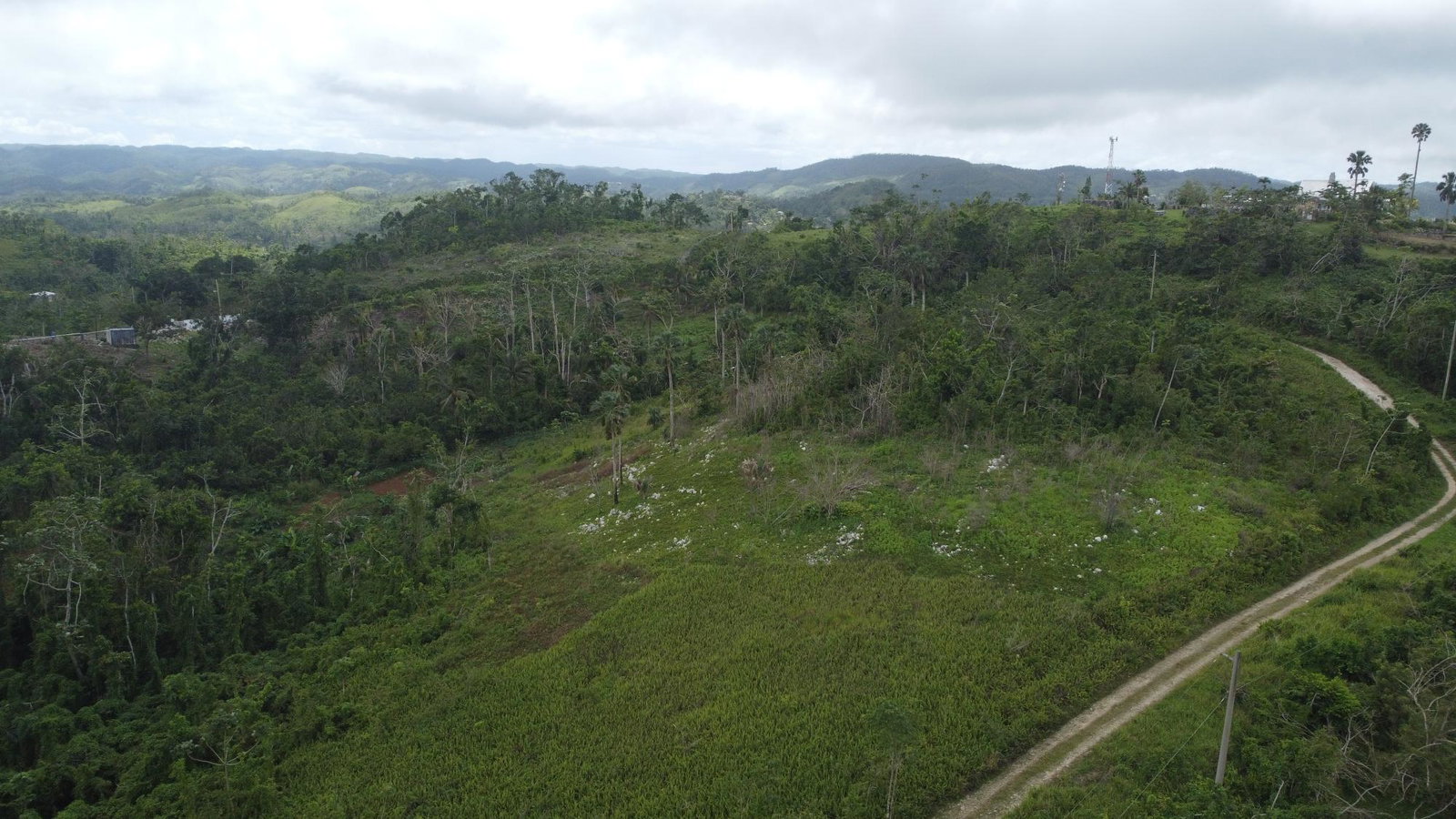 Seventh image of Lot9- Golden Spring Estates, st in Golden Spring, St. Ann, Jamaica - property is For Sale